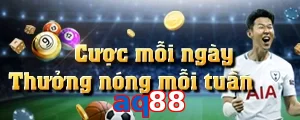 aq88